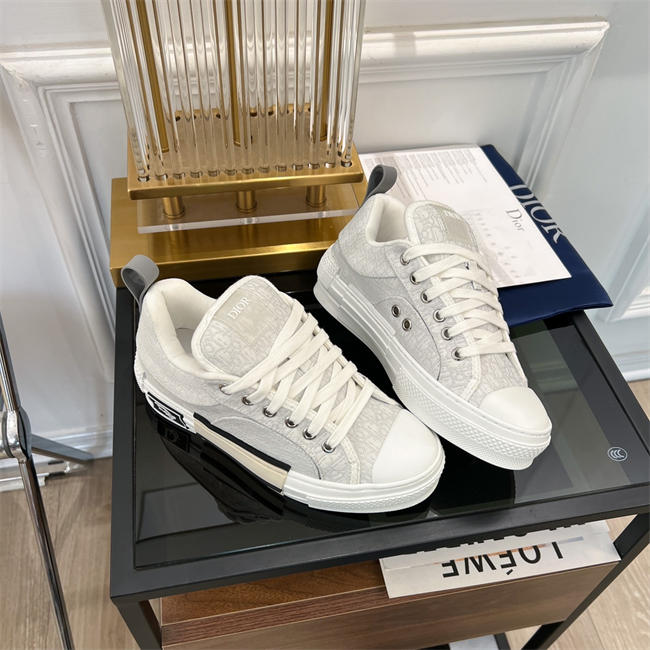 Dior B23 Low Top