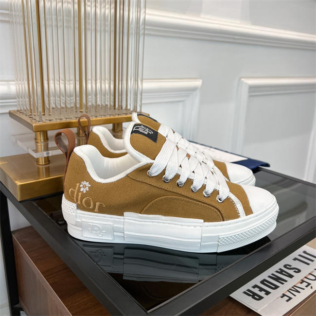 Dior B23 Low Top