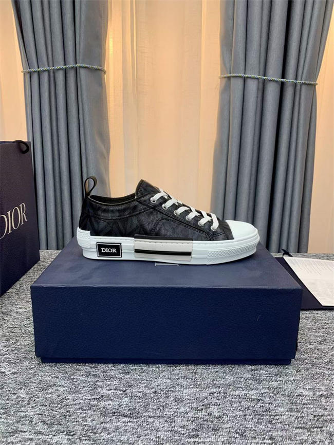 Dior B23 Low Top
