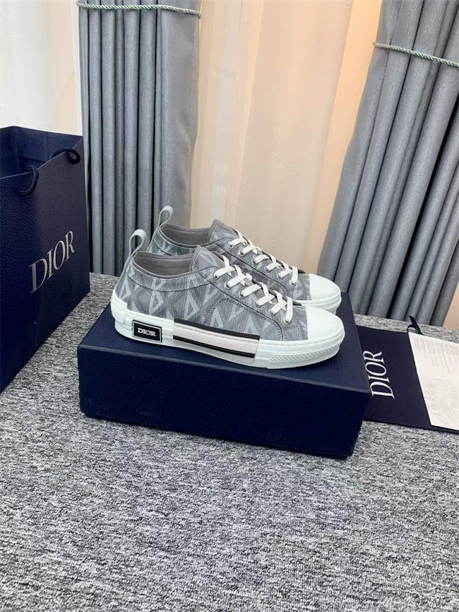 Dior B23 Low Top