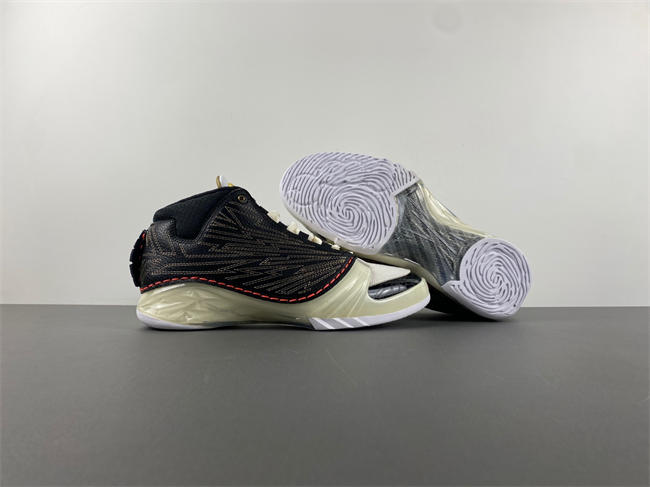 Titan x Air Jordan 23  CZ6222-001