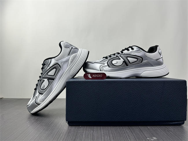 D1or B30 Sneaker sliver