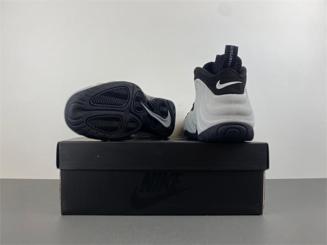 Nike Air Foamposite Pro “Wolf Grey”  HF0794-001